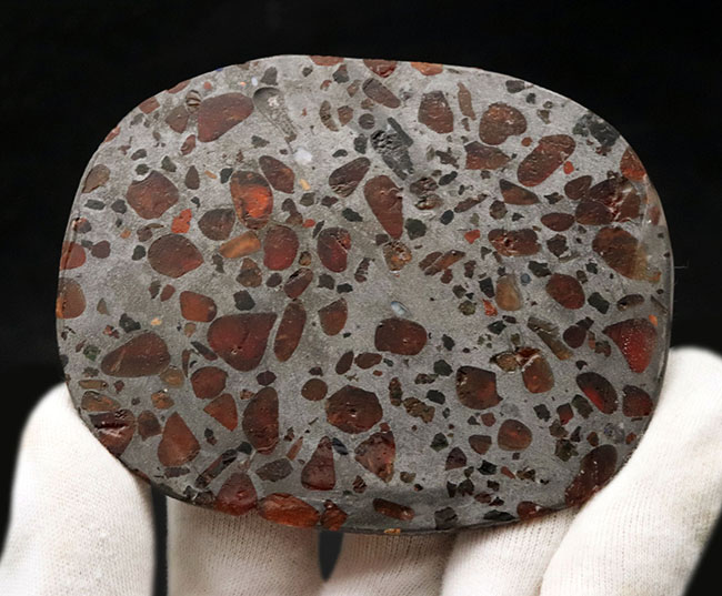 透明度高い！世界で最も美しい隕石と評される、パラサイト隕石。フレッシュなケニア産の標本！（その3）