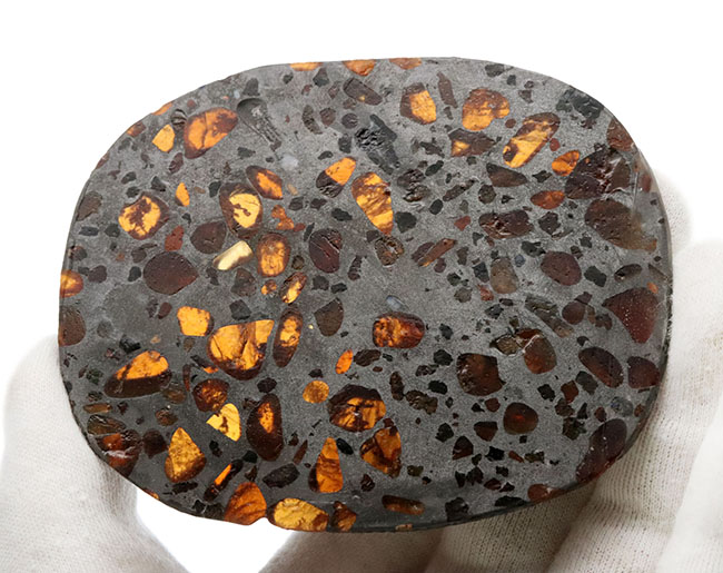 透明度高い！世界で最も美しい隕石と評される、パラサイト隕石。フレッシュなケニア産の標本！（その5）