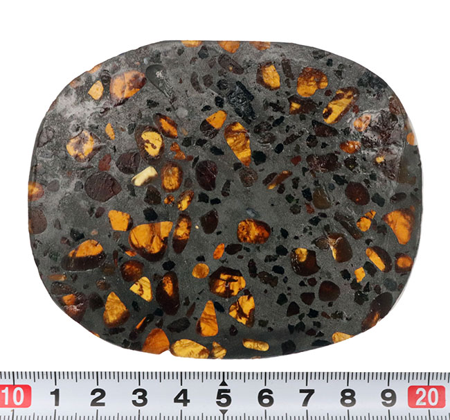透明度高い！世界で最も美しい隕石と評される、パラサイト隕石。フレッシュなケニア産の標本！（その7）