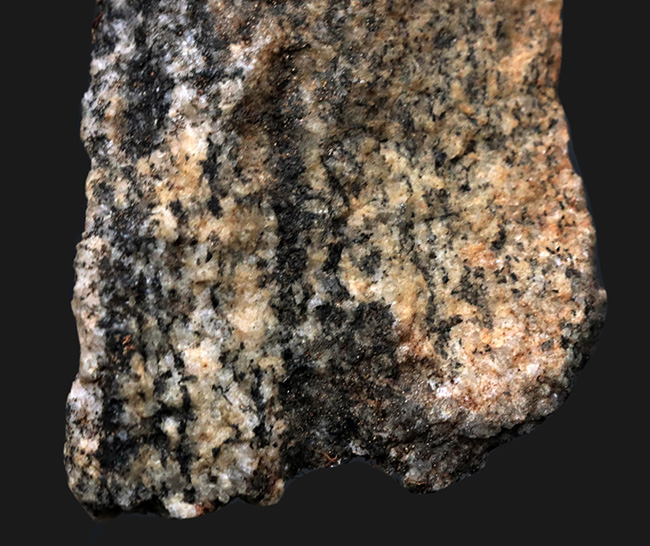 当時を偲ばせる3枚の写真のコピー付き、かつての南極観測隊員が所有し