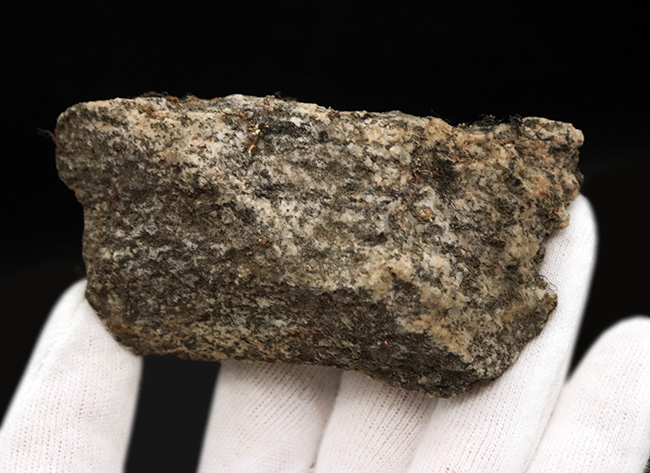 当時を偲ばせる3枚の写真のコピー付き、かつての南極観測隊員が所有し