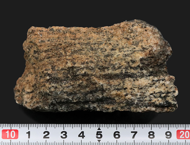 当時を偲ばせる3枚の写真のコピー付き、かつての南極観測隊員が所有し