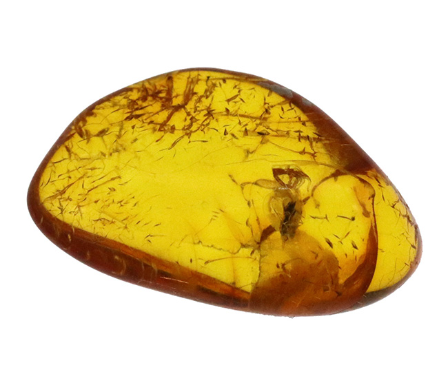 「リトアニアの金」と称される……まばゆいレモンイエローを放つ、バルト海産の虫入り琥珀(Amber)(その1)