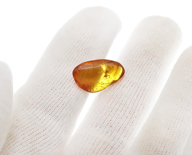 「リトアニアの金」と称される……まばゆいレモンイエローを放つ、バルト海産の虫入り琥珀(Amber)(その4)