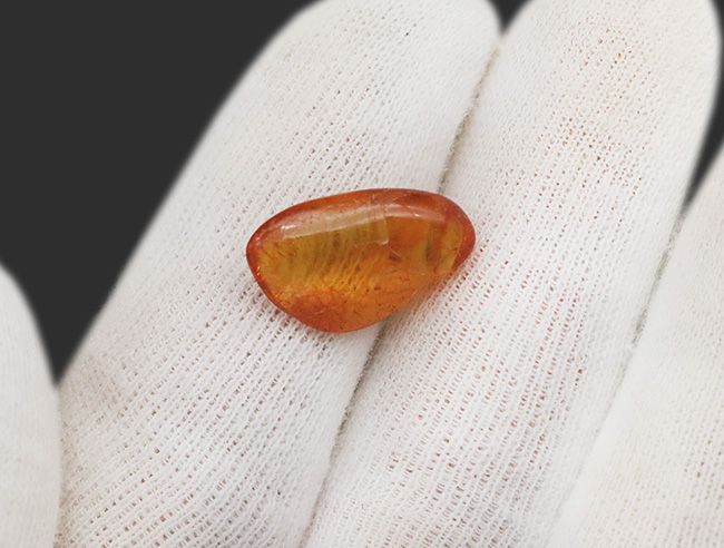 「リトアニアの金」と称される……まばゆいレモンイエローを放つ、バルト海産の虫入り琥珀(Amber)(その5)