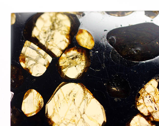 最も美しい隕石の名に恥じないハイクオリティ標本。石鉄隕石ブラヒンパラサイト（その10）