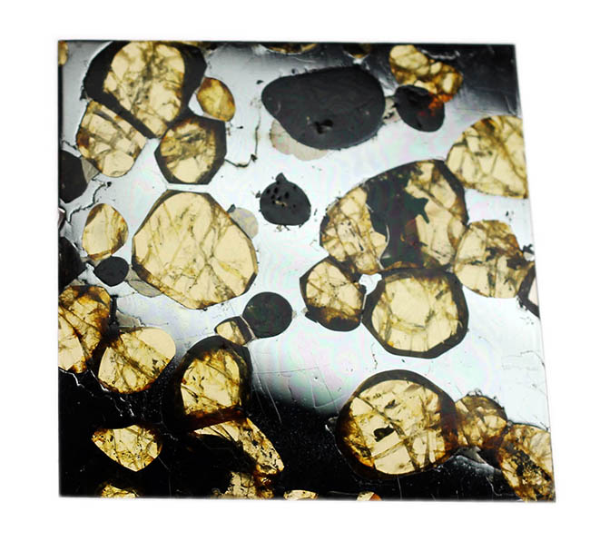 最も美しい隕石の名に恥じないハイクオリティ標本。石鉄隕石ブラヒンパラサイト（その2）