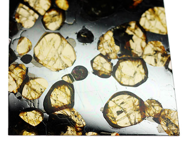 最も美しい隕石の名に恥じないハイクオリティ標本。石鉄隕石ブラヒンパラサイト（その7）
