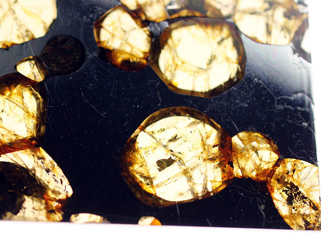 最も美しい隕石の名に恥じないハイクオリティ標本。石鉄隕石ブラヒンパラサイト（その9）