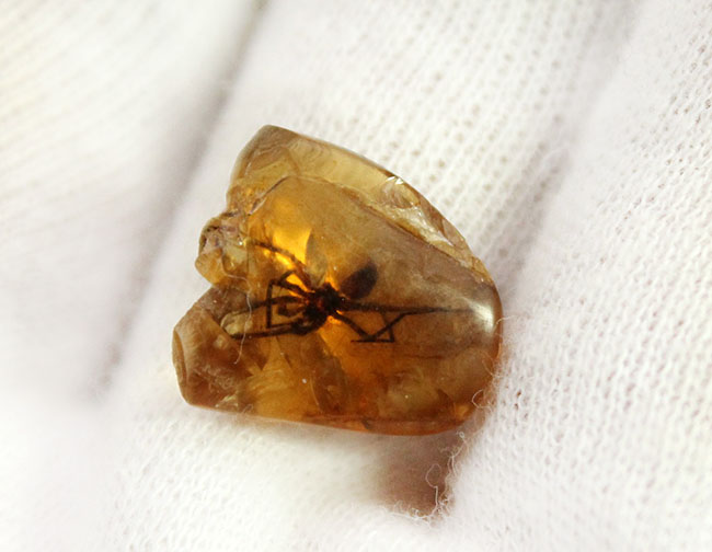 希少な恐竜時代の昆虫を内包したビルマ琥珀、通称、バーマイト(Burmite)(その4)