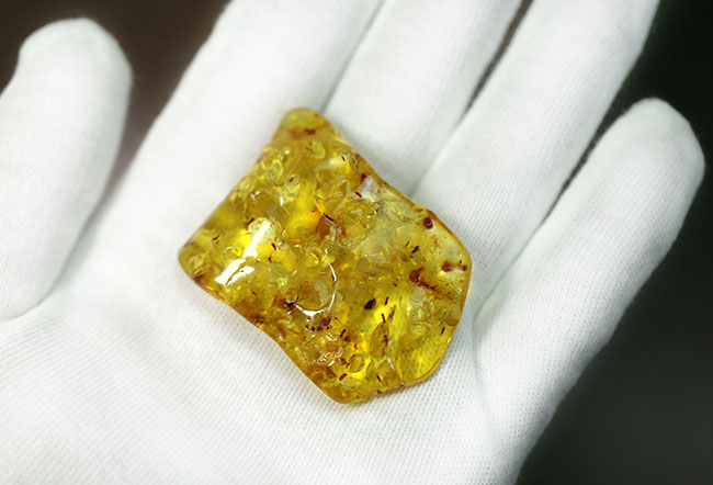 蛍光性が高くフレッシュ!花片、植物片を含んだバルト海産フラワーアンバー(琥珀)(その3)