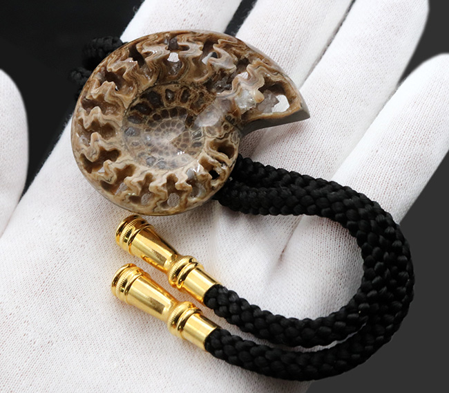 化石コレクターのおしゃれにピッタリのアイテム！美しい縫合線が見られる、アンモナイト（Ammonite）を使ったボウタイ（その3）