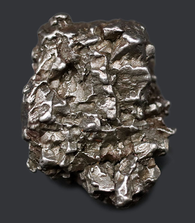 立派！最も有名な鉄隕石の一つ、カンポ・デル・シエロ（その1）