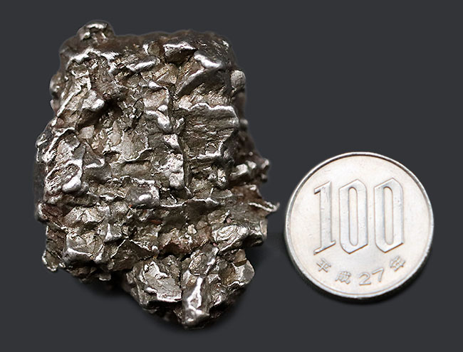 立派！最も有名な鉄隕石の一つ、カンポ・デル・シエロ（その11）