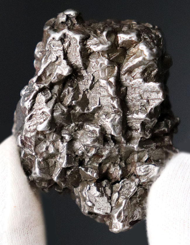 立派！最も有名な鉄隕石の一つ、カンポ・デル・シエロ（その2）