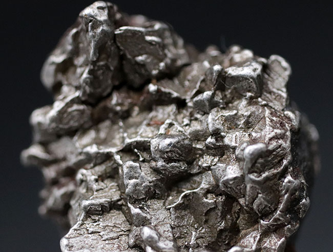 立派！最も有名な鉄隕石の一つ、カンポ・デル・シエロ（その3）