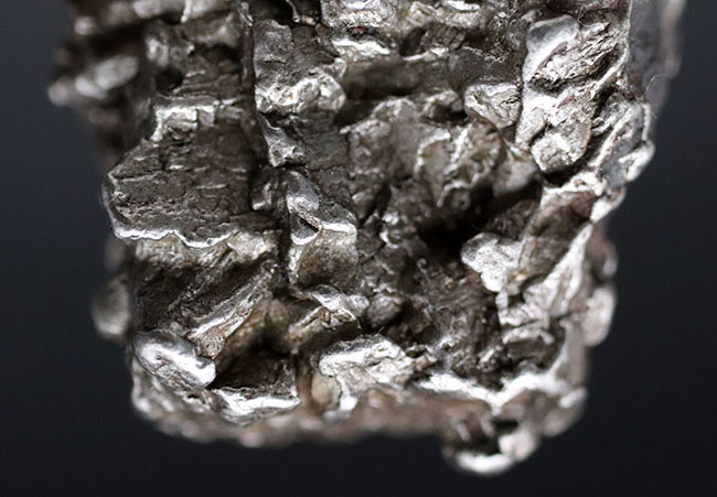 立派！最も有名な鉄隕石の一つ、カンポ・デル・シエロ（その4）
