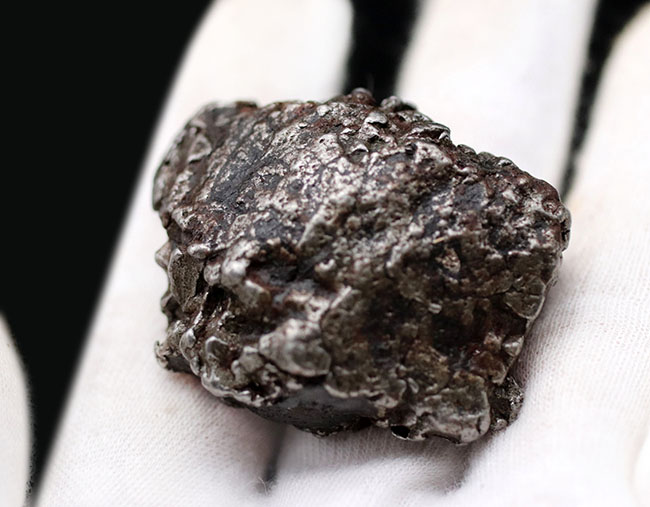 立派！最も有名な鉄隕石の一つ、カンポ・デル・シエロ（その6）
