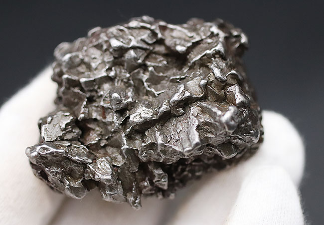 立派！最も有名な鉄隕石の一つ、カンポ・デル・シエロ（その7）
