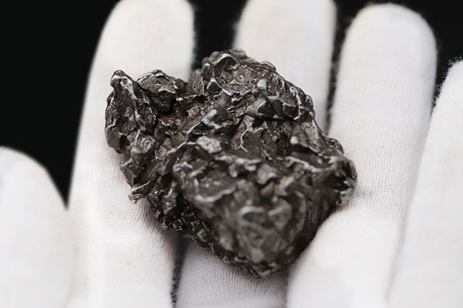 立派！最も有名な鉄隕石の一つ、カンポ・デル・シエロ（その8）