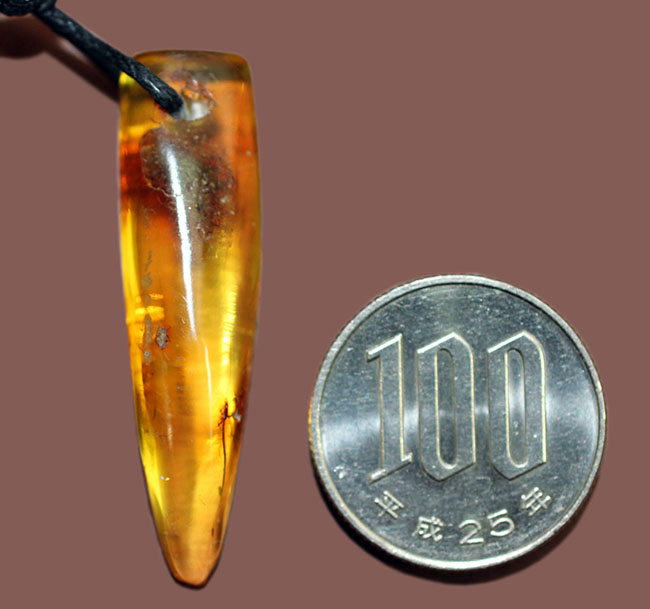 人類最古の宝石と呼ばれる琥珀をあしらったペンダント（バルト海産琥珀）（その10）