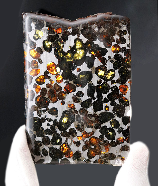 ビッグサイズ！オリーブグリーンに輝くカンラン石が存在する、極めて上質なケニア産のパラサイト隕石（本体防錆処理済み）（その1）