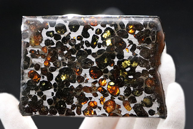ビッグサイズ！オリーブグリーンに輝くカンラン石が存在する、極めて上質なケニア産のパラサイト隕石（本体防錆処理済み）（その4）