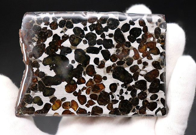 ビッグサイズ！オリーブグリーンに輝くカンラン石が存在する、極めて上質なケニア産のパラサイト隕石（本体防錆処理済み）（その5）