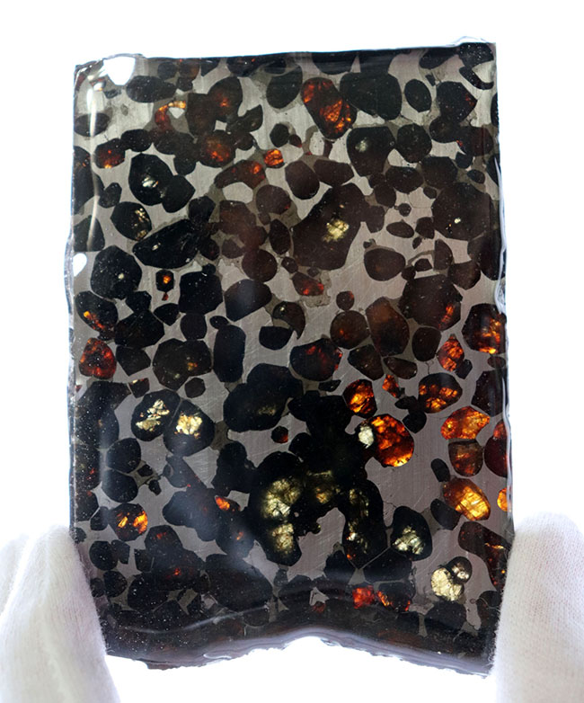 ビッグサイズ！オリーブグリーンに輝くカンラン石が存在する、極めて上質なケニア産のパラサイト隕石（本体防錆処理済み）（その7）