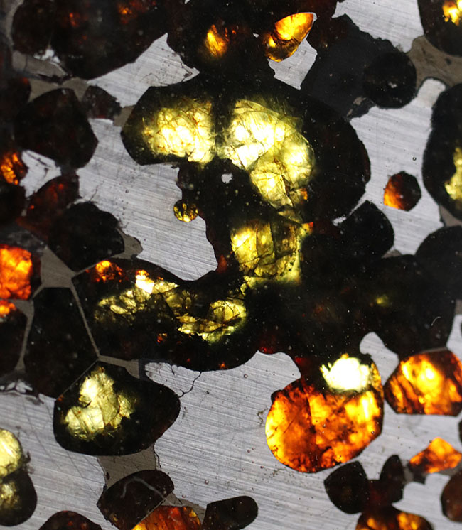 ビッグサイズ！オリーブグリーンに輝くカンラン石が存在する、極めて上質なケニア産のパラサイト隕石（本体防錆処理済み）（その8）