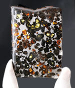 ビッグサイズ！オリーブグリーンに輝くカンラン石が存在する、極めて上質なケニア産のパラサイト隕石（本体防錆処理済み）