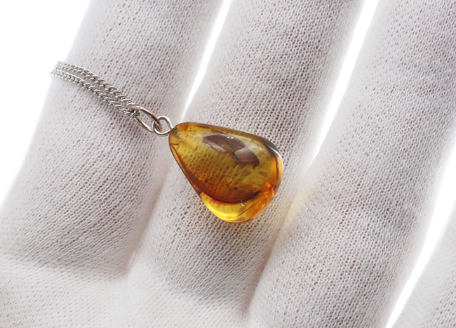 まさに琥珀色を呈する、およそ４０００万年前のバルト海産琥珀（Amber）を使ったペンダントトップ（シルバーチェーン、高級ジュエリーケース付き）（その5）