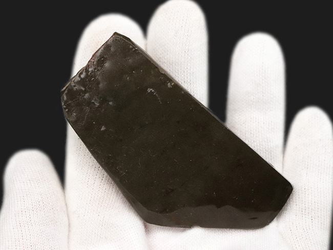 レッドからブルーまで輝く、カナダ・アルバータ州産の宝石、アンモライト（Ammolite）の天然石（その6）