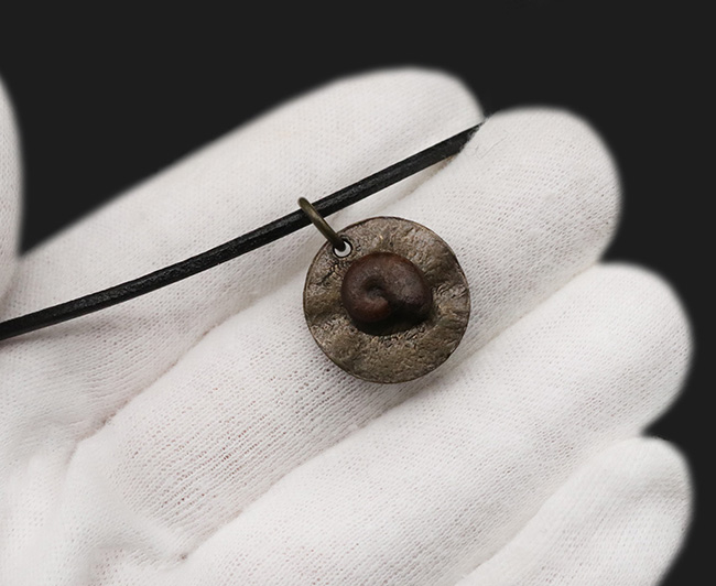 古生物をこよなく愛する貴方のための渋いアイテム！モロッコ産のアンモナイト（Ammonite）を使ったペンダントトップ（革紐付き）（その3）