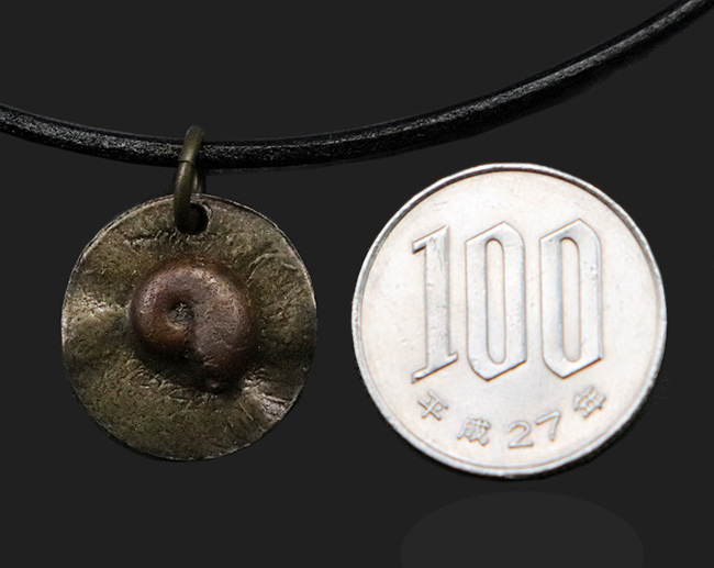 古生物をこよなく愛する貴方のための渋いアイテム！モロッコ産のアンモナイト（Ammonite）を使ったペンダントトップ（革紐付き）（その6）