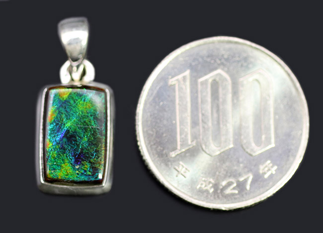 希少色のブルーを呈する、高品位なアンモライト(Ammolite)を使ったペンダントトップ。金具はスターリングシルバー。チェーン、黒紐、ジュエリーケース付き(その7)