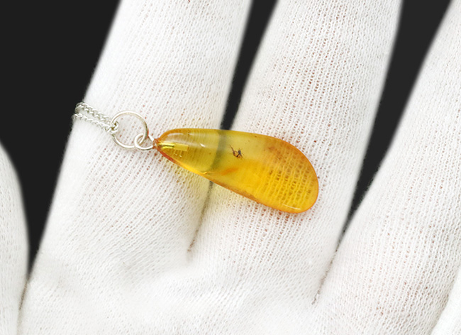 透き通る味わいが魅力的！約４０００万年前の虫を内部に内包したバルティックアンバー（シルバーチェーン＆高級ジュエリーケース付き）（その4）