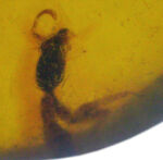 お客様の声　写真