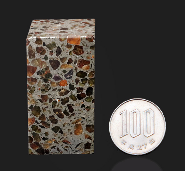 人気！分厚く長い！１４２グラム、長辺４８ミリの直方型のケニア産のパラサイト隕石（その10）