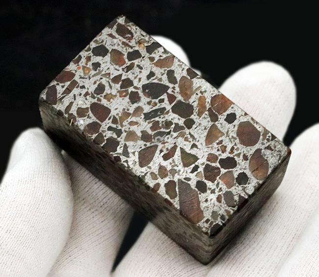 人気！分厚く長い！１４２グラム、長辺４８ミリの直方型のケニア産のパラサイト隕石（その6）