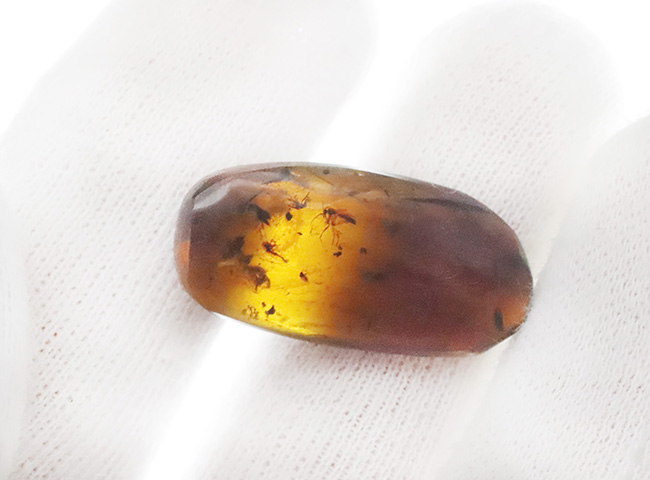 大きい、26ミリ級！琥珀の中にダイブしよう！見どころ満載！多数の虫や植物片を内包したミャンマー産琥珀、バーマイト（Burmite）（その6）