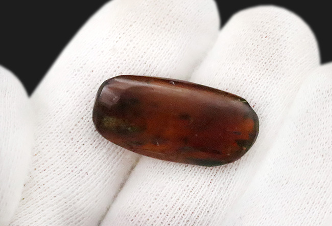 大きい、26ミリ級！琥珀の中にダイブしよう！見どころ満載！多数の虫や植物片を内包したミャンマー産琥珀、バーマイト（Burmite）（その7）