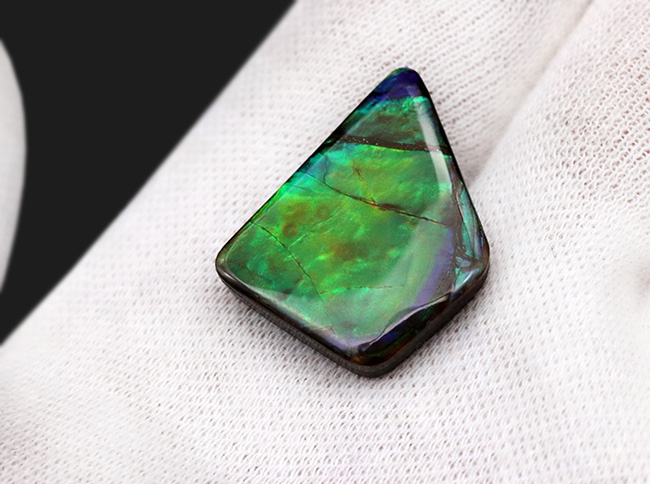 その輝きは特別!全体がグリーンを呈する、見事な一級品、カナダ産のアンモ”ラ”イト(Ammolite)のピース(その3)