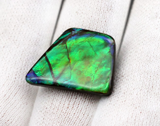 その輝きは特別!全体がグリーンを呈する、見事な一級品、カナダ産のアンモ”ラ”イト(Ammolite)のピース(その4)