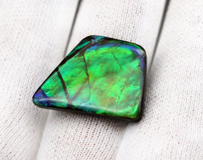 その輝きは特別！全体がグリーンを呈する、見事な一級品、カナダ産のアンモ”ラ”イト（Ammolite）のピース（その4）