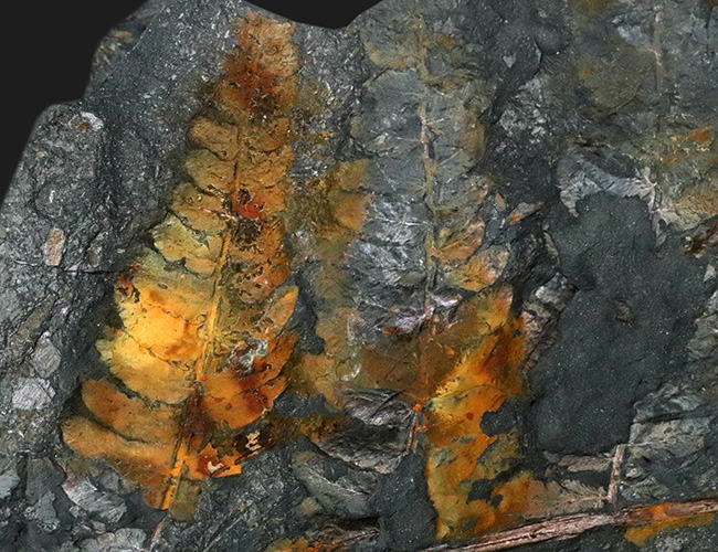 化石 HITACHI ZX1800K-3 #hitachi #hitachiconstruction