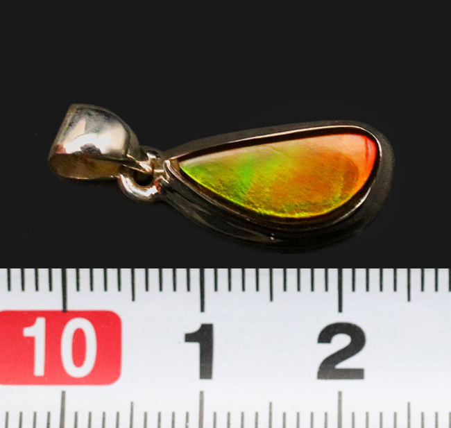 強い発色!さわやかな色合いにご注目!宝石アンモライト(Ammolite)を使ったペンダントトップ。金具はスターリングシルバー。チェーン、革紐、ジュエリーケース付き(その7)