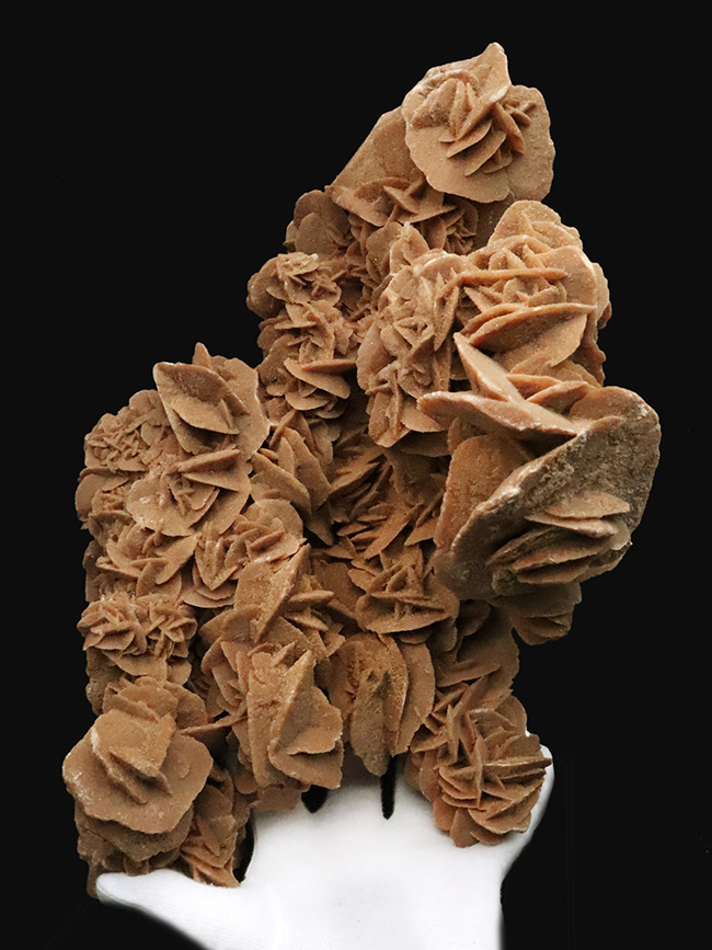 博物館級のビッグサイズ！モロッコ産の砂漠のバラ、デザートローズ（Desert Rose）（その1）