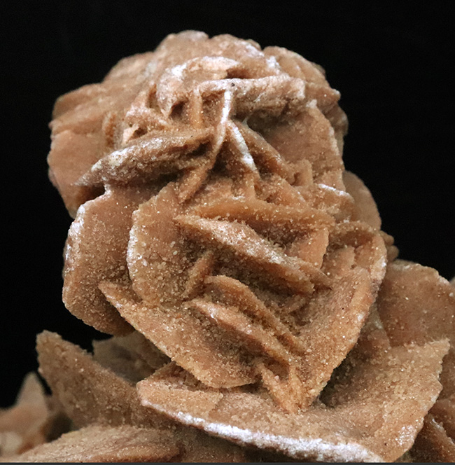 博物館級のビッグサイズ！モロッコ産の砂漠のバラ、デザートローズ（Desert Rose）（その2）