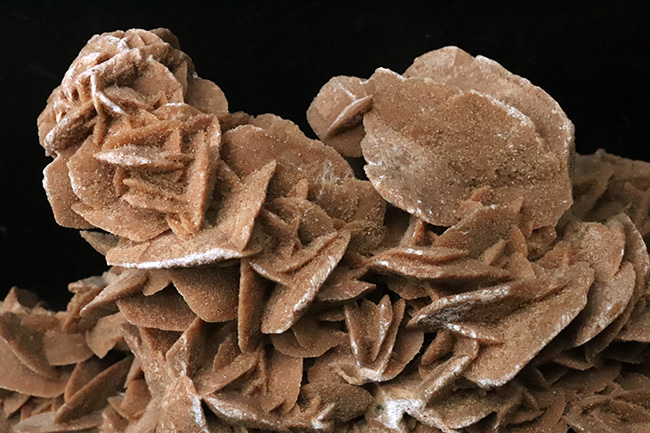 博物館級のビッグサイズ！モロッコ産の砂漠のバラ、デザートローズ（Desert Rose）（その4）